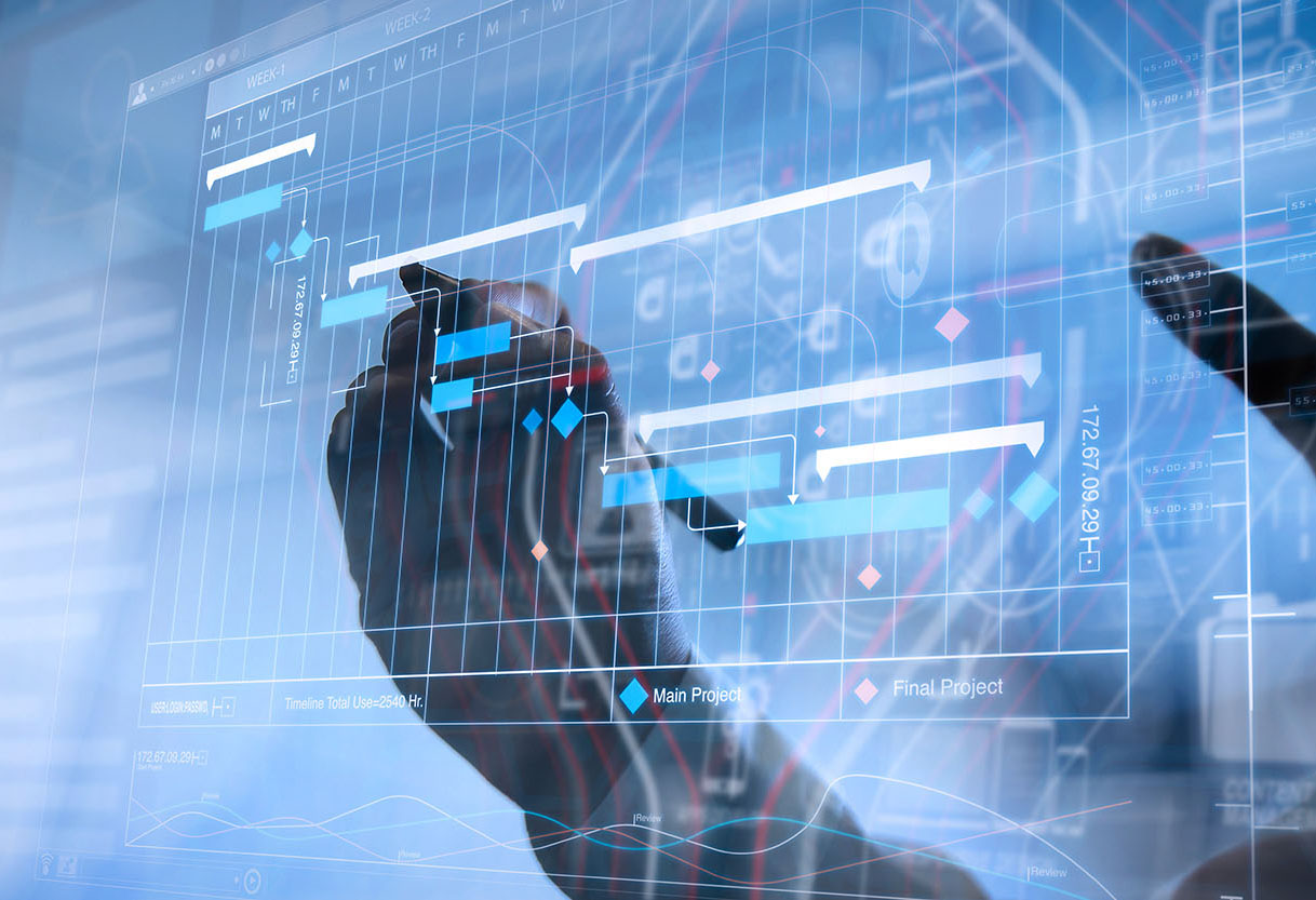 Interface Masters Embedded System Design Process: End-to-End Solutions for OEMs